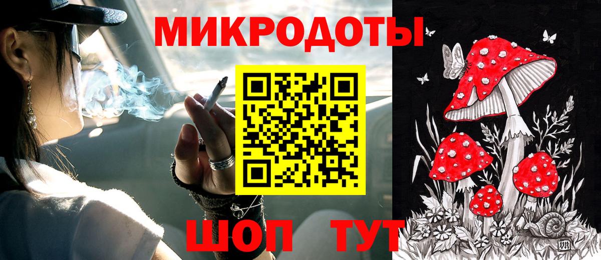 Галлюциногенные грибы Psilocybine cubensis Лениногорск
