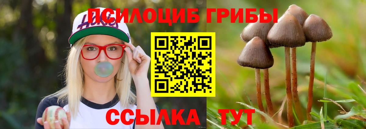Лениногорск  цены   Псилоцибиновые грибы Cubensis  Вход с VPN  Галлюциногенные грибы Psilocybine cubensis 